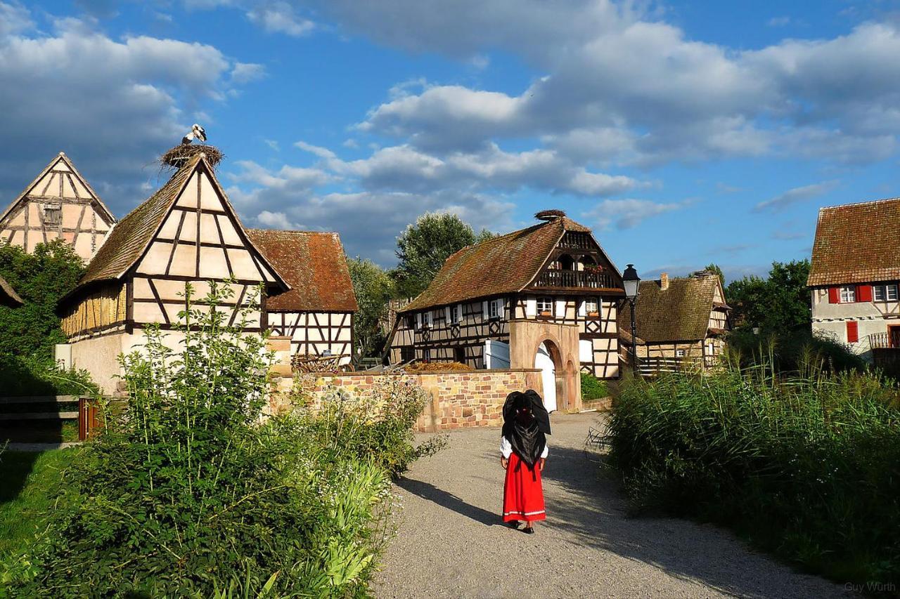 Chez Christian Lejlighed Breitenbach-Haut-Rhin Eksteriør billede