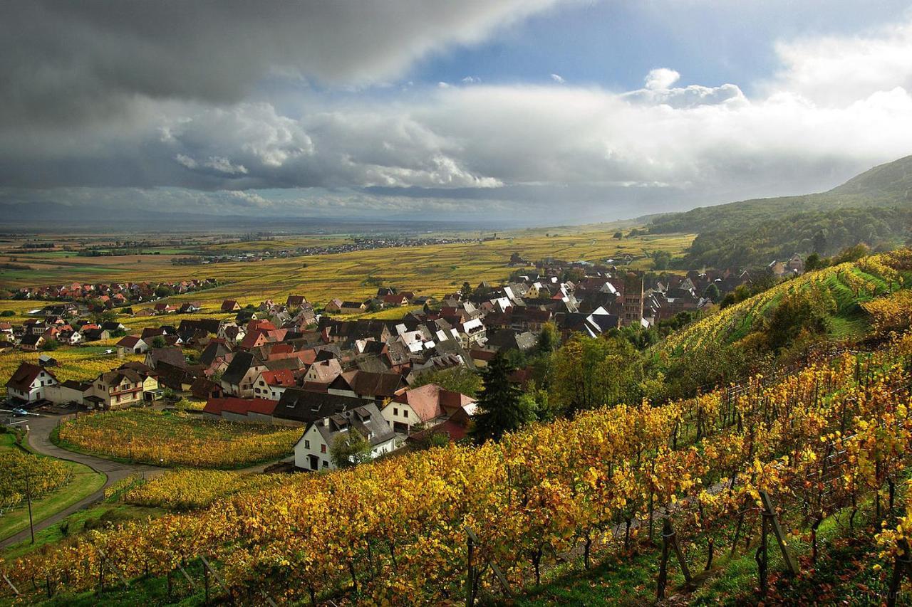 Chez Christian Lejlighed Breitenbach-Haut-Rhin Eksteriør billede